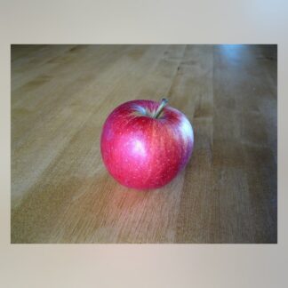 496-Royal Gala Apple