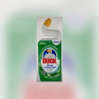 Aiva Toilet Cleaner Pine 500 Ml
