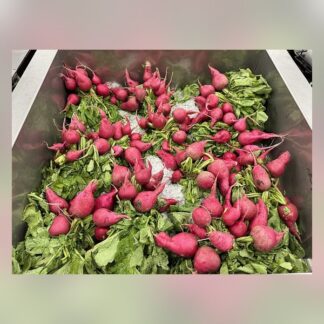 85-Radish Items