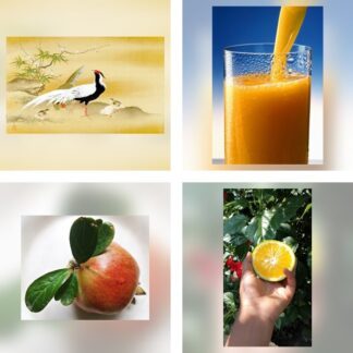 Fruits & Vegetables